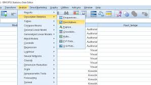 Analisis Deskriptif Dengan Spss Mitra Riset