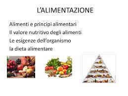 Principi nutritivi e necessità energetiche zuccheri, grassi, proteine, vitamine ecc. L Alimentazione Alimenti E Principi Alimentari Ppt Scaricare