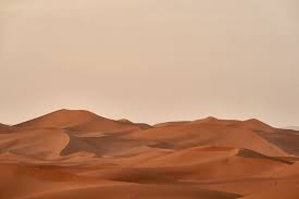 Brown background in 2020 | aesthetic desktop wallpaper. Dessert Field Photo Free Brown Image On Unsplash Minimalist Desktop Wallpaper Desktop Wallpaper Art Vintage Desktop Wallpapers