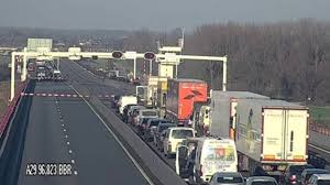 De jongen zijn zwart met een witte buik. 10 000 Mensen Tekenen Petitie Tegen Maatregelen Op Haringvlietbrug Omroep Brabant