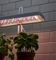 Placing one on your desktop at work brings a little nature indoors, and helps you grow plants to improve air quality even in a windowless office. Tabletop Led Grow Light Lee Valley Tools