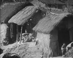 中国50年代农村景象的图片