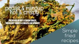 Scopri ricette, idee per la casa, consigli di stile e altre idee da provare. Pucuk Mulberry Bayam Brazil Ranggup Mulberry Shoots Brazilian Spinach Crispy Youtube