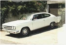Image result for Marlin Silver 1966 AMC