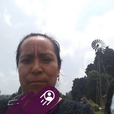 Sabías que Michoacán tiene su propia Capilla Sixtina? Sus techos y muros  están decorados con impresionantes pinturas del siglo XVI que narran  pasajes bíblicos, todo hecho con un nivel de detalle que