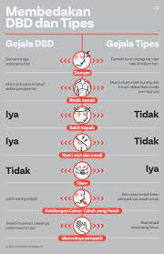 Membedakan Gejala Dbd Dan Tipes Kesehatan Remaja Gaya Hidup Sehat Kesehatan Alternatif