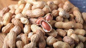 Check spelling or type a new query. 10 Jenis Kacang Yang Paling Populer Di Indonesia