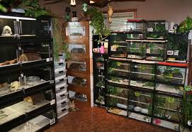 Really Cool Looking Herp Reptile Room I Like How They Tried To Tie Everything Together Reptile Room Animal Shelter Design Reptiles