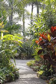 954 252 3330 Plants Southwest Ranches Bromeliads