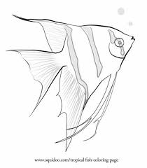 Tropical Fish Coloring Page Fish Coloring Page Fish Drawings Coloring Pages