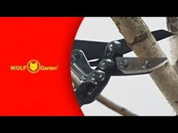 Wolf Garten Lopper Rs 800 V Youtube