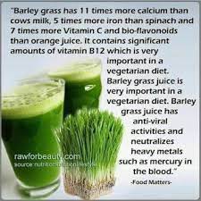 Pin On Health Cleanse