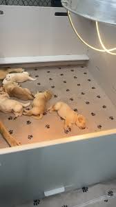 Alicia Helm (@aliciahelm) | TikTok