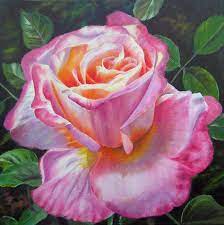 Large Pink Rose Oil Painting Work In