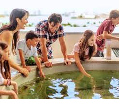 The victim was walking on 43rd terrace near. 25 Fun Things To Do In Miami With Kids Beyond The Beach Mommypoppins Things To Do With Kids