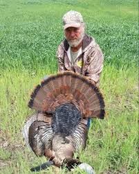 Inside Joplin Obituaries: November 2023