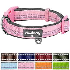 Blueberry Pet Soft Comfy 3m Reflective Pastel Color Padded