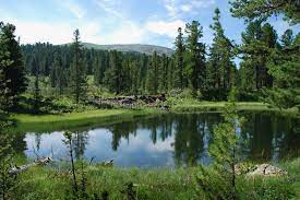 Lake Taiga Landschaft Landschaftsbau Russland
