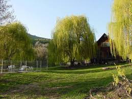 There are also places where you can find ruby, sapphire, opal and many other gemstones. Crystal Gold Mine Rv Park 2 Photos Kellogg Id Roverpass