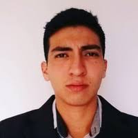 10 "Brian Pedraza" profiles