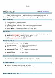 salesforce developer resume sles 28