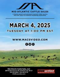 2020 UWRF Falcon Premier Catalog by briclynbonin21