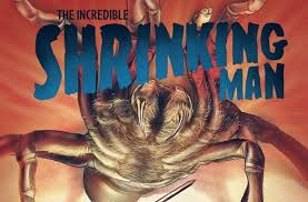 The unstable formula shrank him down to the microverse. The Incredible Shrinking Man Gets Tarantulatastic Blu Ray Cover Art