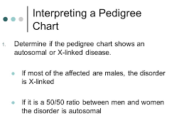 A Family History Of A Genetic Condition Ppt Video Online