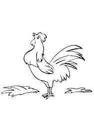 Maybe you would like to learn more about one of these? Ausmalbild Krahender Hahn Ausmalen Ausmalbilder Tiere Krahen