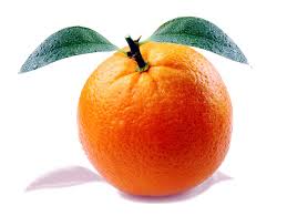 Image result for orange