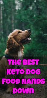 The Best Keto Dog Food Hands Down Is Keto Based Dog Food Recipes Food Animals Pets