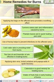 Home Remedies For Burns Organic Facts Home Remedies For Burns Burn Remedy Home Remedies
