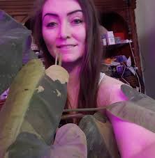 Will kinetic sand work to get rid of gnats in potted plants?