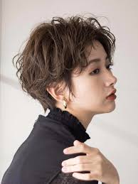 Anson Zhang (yoyojan2003)