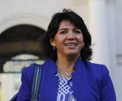 Since march 2014 she is a deputy at the chamber Yasna Provoste Asume Presidencia Del Senado Senalando Que Es Una Mujer De Descendencia Diaguita Y Senala Que Es Opositora Al Gobierno De Pinera Y Que Nuestro Pais Merece Mas