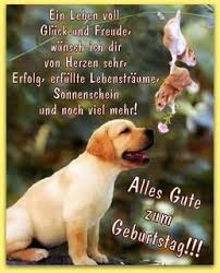 Geburtstagswunsche Fur Hunde Geburtstag Bilder Lustig Lustige Geburtstagsbilder Geburtstagsbilder