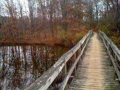 Potawatomi Trail Mountain Bike Trail Pinckney Michigan Mountain Bike Trails Bike Trails Trail