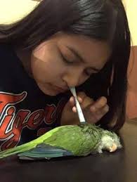 Wanda Ureña (wandaurena5)