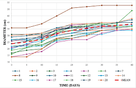 Image result for Pimpinella sp. A. of FZ 4: 594