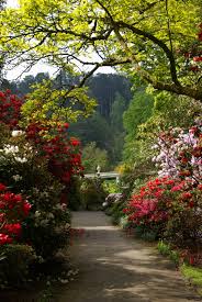 Bodnant Garden In Late Spring Beautiful Gardens Gardens Of The World Landscape