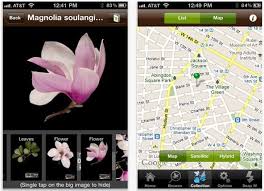 Instead of wasting time trawling through websites or asking your gardener friends. Leafsnap Identify Tree Species In Just One Click Smartphones Gadget Hacks
