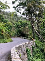 The other hikes and falls were open in el yunque however. Exploring El Yunque National Forest Puerto Rico S Rainforest Hello Little Home