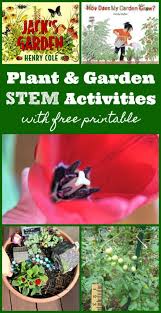 Maybe you would like to learn more about one of these? 9 Plant Activities For Kids Measure Plant Growth Stem Garden Projects Edventures With Kids