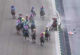 About press copyright contact us creators advertise developers terms privacy policy & safety how youtube works test new features 440jl8vfi5en1m