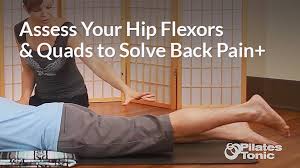 The traps consist of three sections of muscle fibers: Assess Your Hip Flexors And Quads To Solve Back Pain And More Pilates Tonic Chattanooga