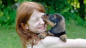 Оказывается, вот почему мелкие собаки дрожат. Вы даже не догадывались