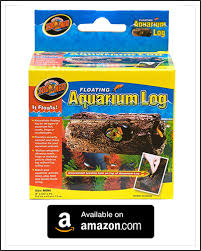 In this case, we collect the black mamba. Betta Fish House Fish Care