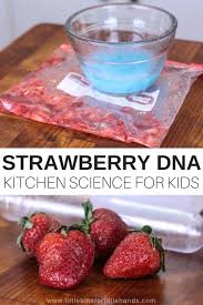 Strawberry Dna Science Activity For Kids Food Science