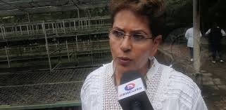 Me dijeron que no podía, pero ahora ya producimos 3 mil árboles”: Nilda  Garza