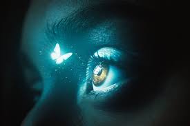 Butterfly Effect Photos Royalty Free Images Graphics Vectors Videos Adobe Stock Also explore similar png transparent images under. butterfly effect photos royalty free